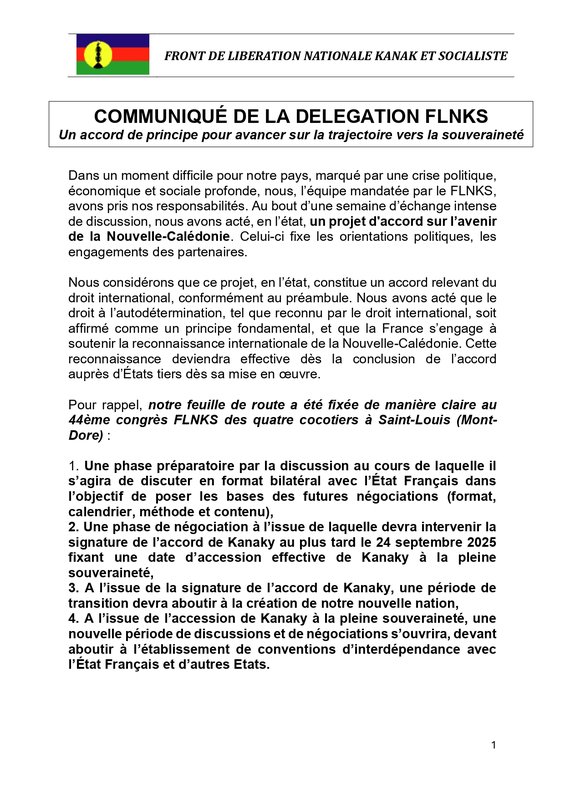 2025 - 7 - 13 - FLNKS 1